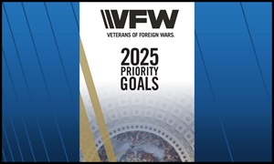 2025 Priority Goals Brochure